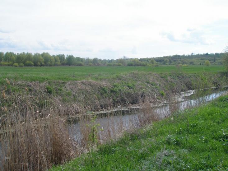 Біляки з panoramio.com - Bilyaky
