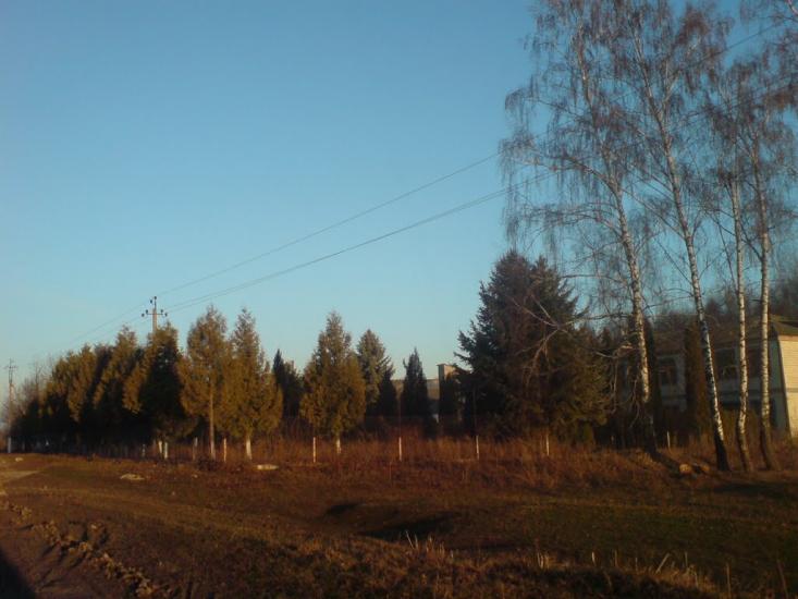 Нестерівці з panoramio.com - Нестерівці