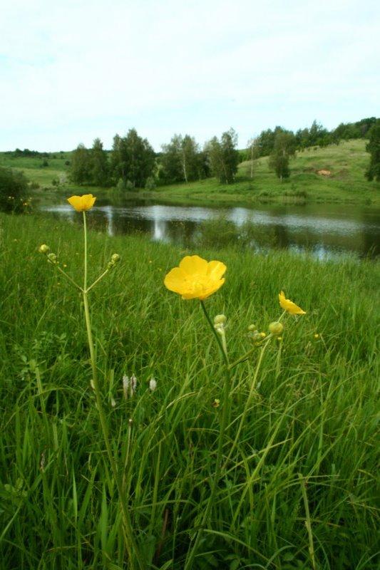 Вільшани з panoramio.com - Ольшаны