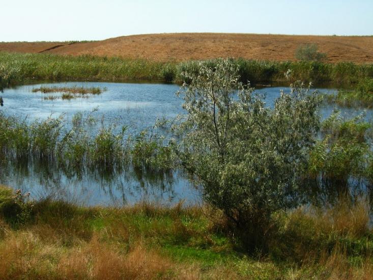 Фрунзе з panoramio.com - Фрунзе