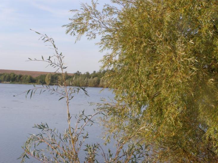 Голенищеве з panoramio.com - Голенищеве