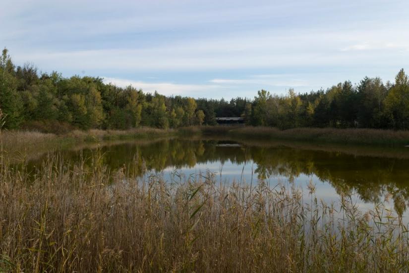 Кочережки з panoramio.com - Кочережки