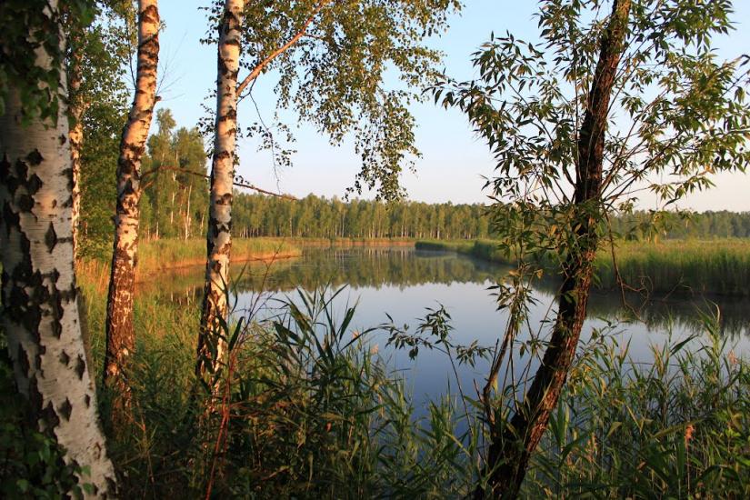 Жовтневе з panoramio.com - Жовтневе