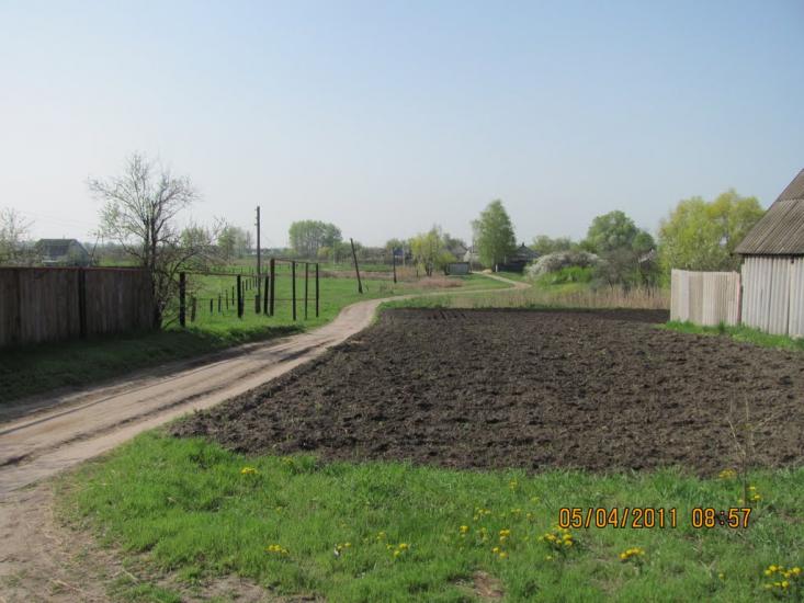 Мілуватка з panoramio.com - Мілуватка