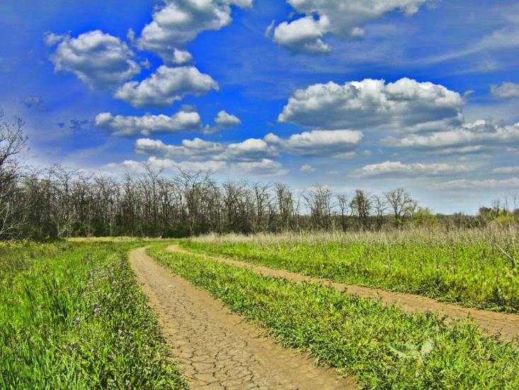 Павлопіль з panoramio.com - Павлопіль