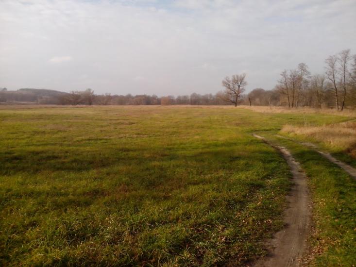 Барилівка з panoramio.com - Бариловка