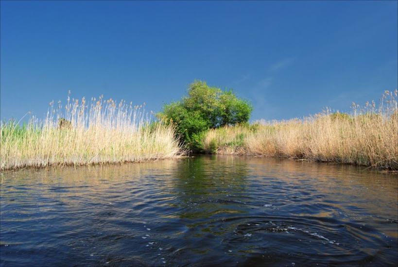 Багате з panoramio.com - Багате