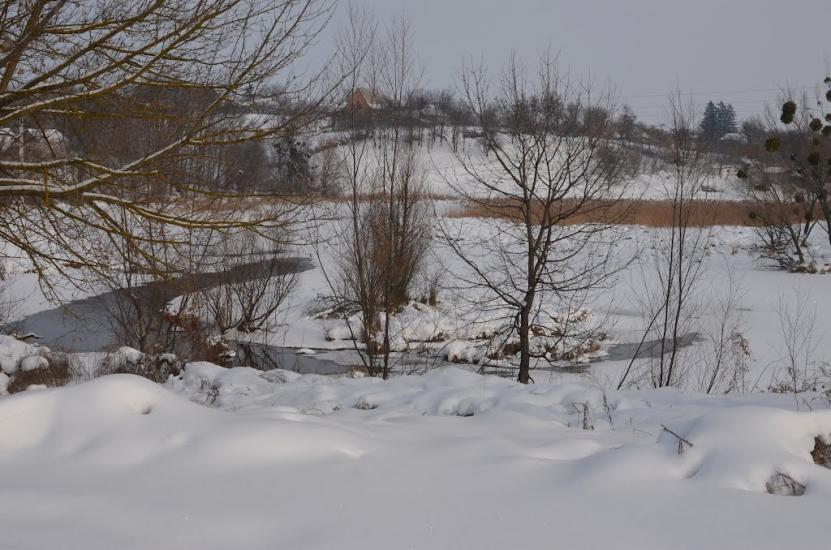 Старі Бабани з panoramio.com - Старые Бабаны