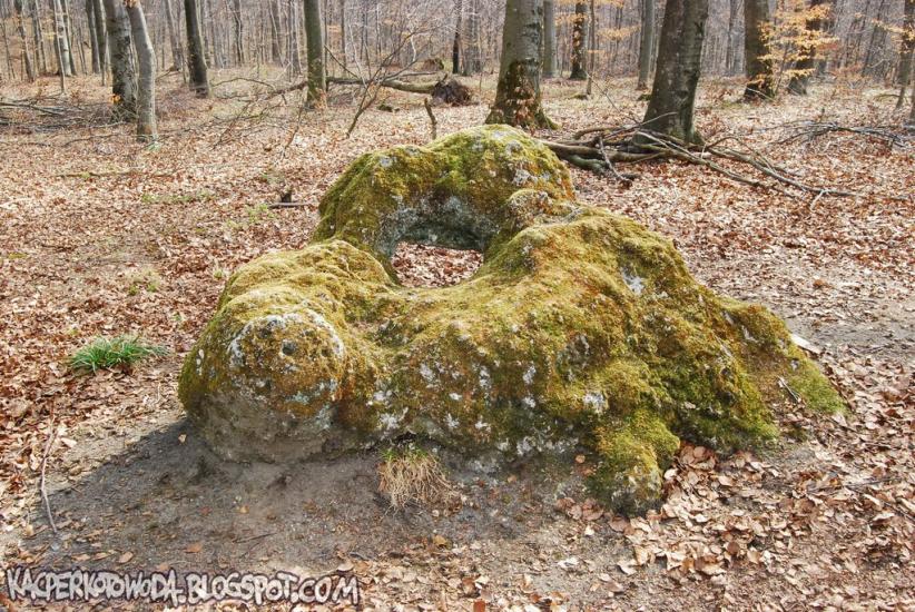 Дев'ятир з panoramio.com - Девятир