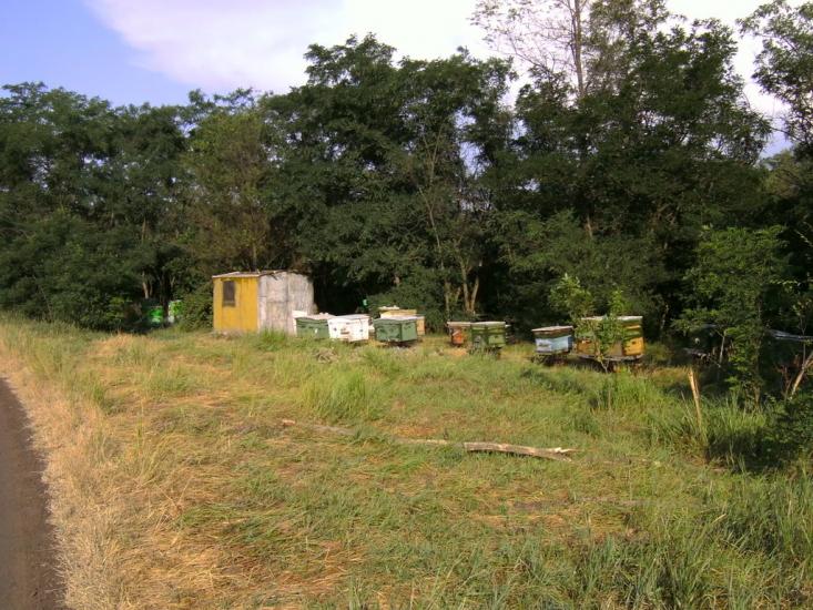 Павлопіль з panoramio.com - Павлопіль