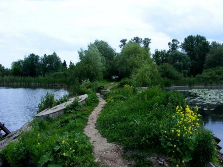Вороне з panoramio.com - Вороне