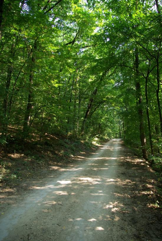 Садківці з panoramio.com - Садківці