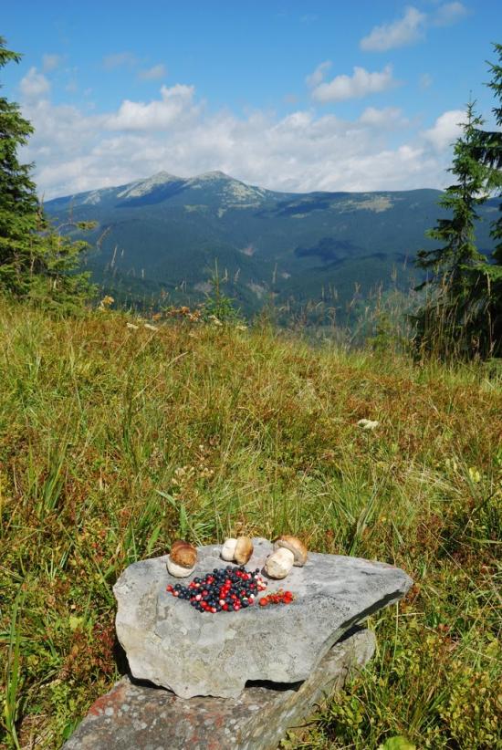 Згари з panoramio.com - Згары
