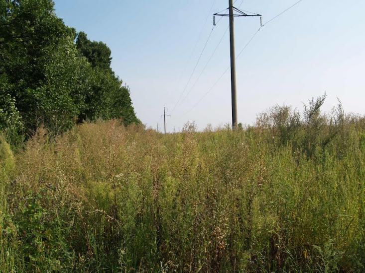 Кустівці з panoramio.com - Кустівці