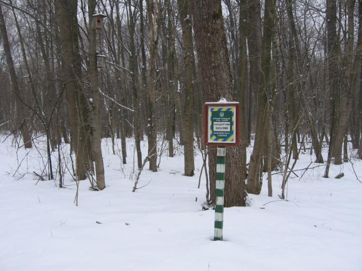 Барилівка з panoramio.com - Barylivka