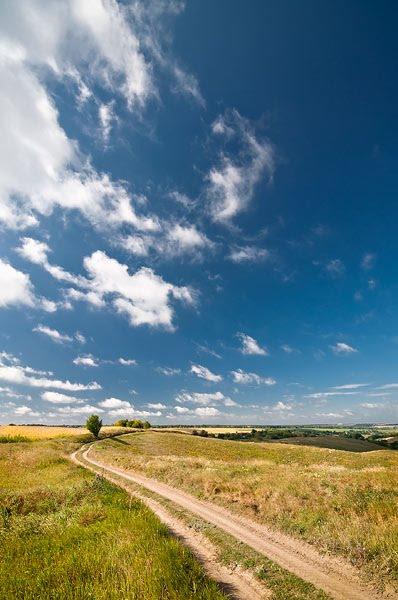 Миронівка з panoramio.com - Мироновка