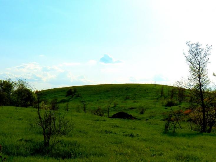 Шимшинівка з panoramio.com - Шимшиновка