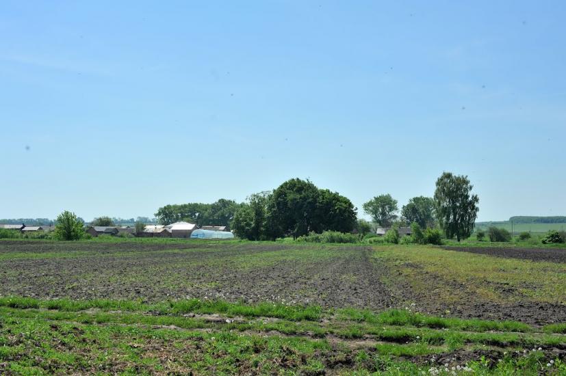 Ставники з panoramio.com - Ставники