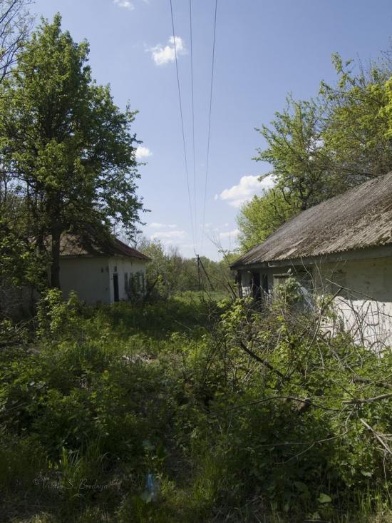 Дитятки з panoramio.com - Дитятки