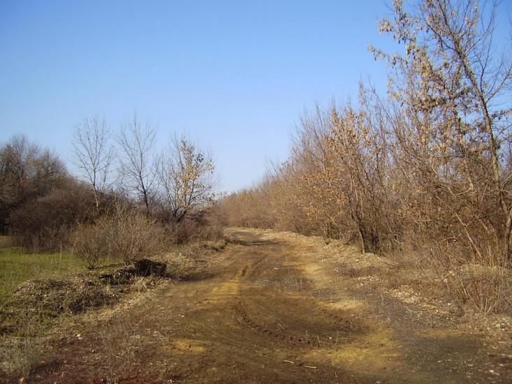 Кіровськ з panoramio.com - Кировск