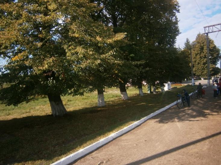 Дерно з panoramio.com - Дерно