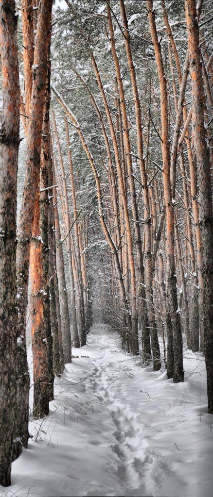 Котельва з panoramio.com - Котельва