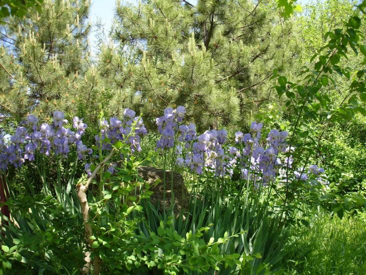 Велика Балка з panoramio.com - Велика Балка