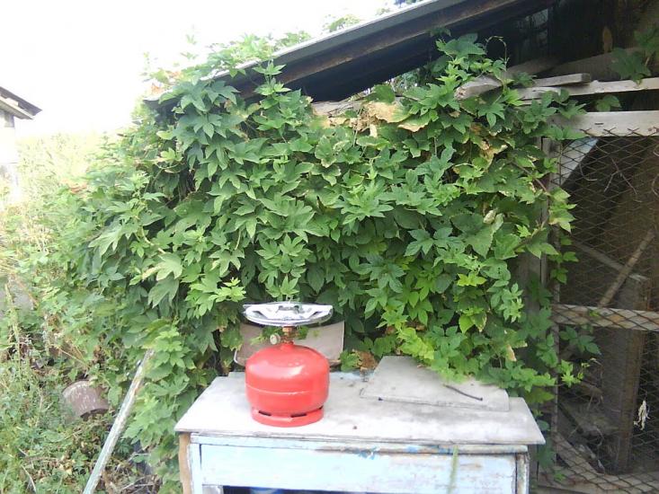 Новоайдар з panoramio.com - Новоайдар
