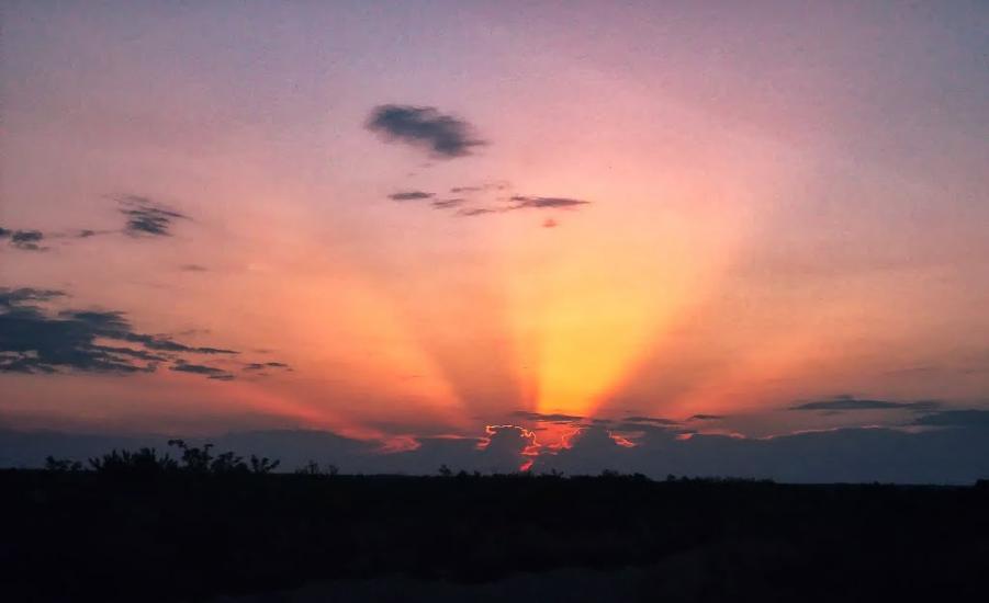 Куріпчине з panoramio.com - Kuripchyne