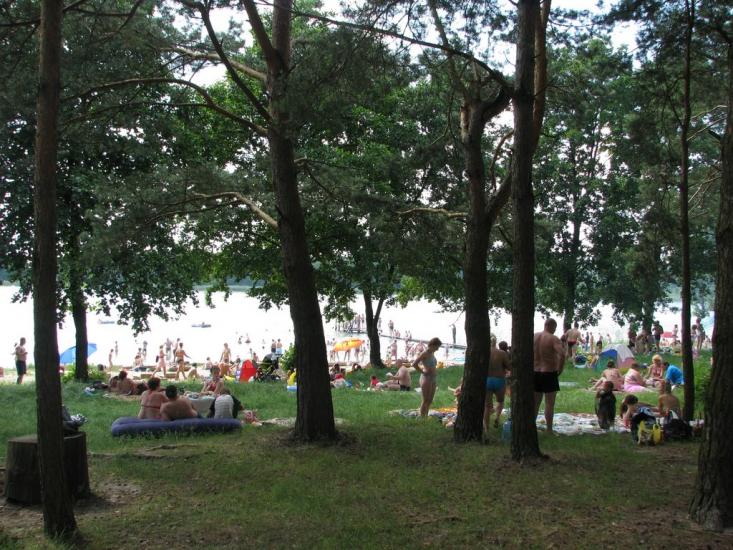 Соловичі з panoramio.com - Соловичі