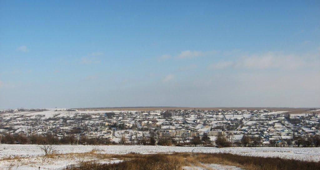 Домниця з panoramio.com - Domnytsya