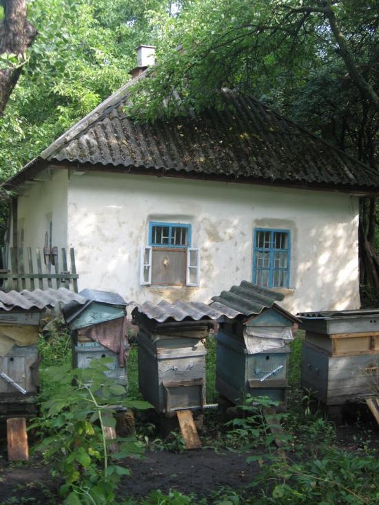 Білаші з panoramio.com - Білаші