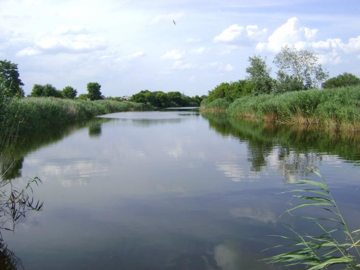 Комар з panoramio.com - Komar