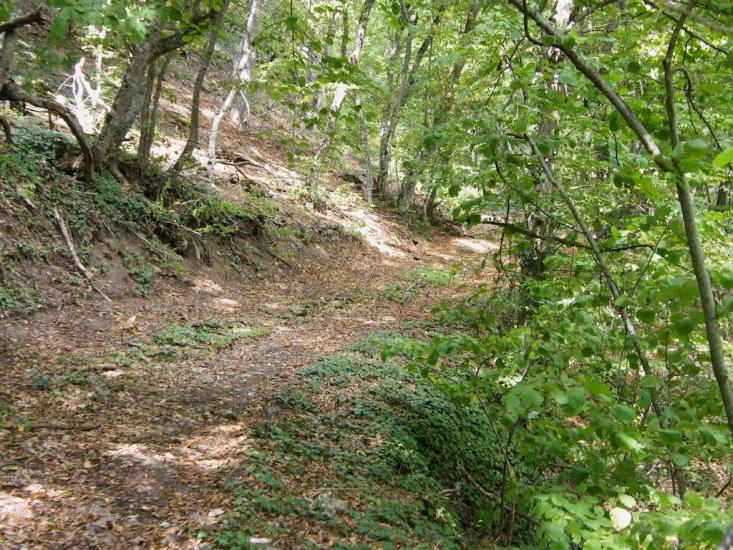 Перевалівка з panoramio.com - Переваловка