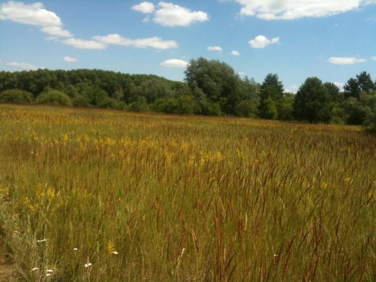 Літочки з panoramio.com - Litochky