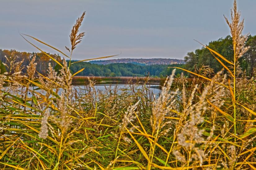 Першотравневе з panoramio.com - Першотравневе