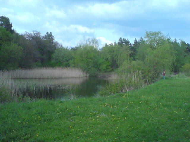 Шкло з panoramio.com - Shklo
