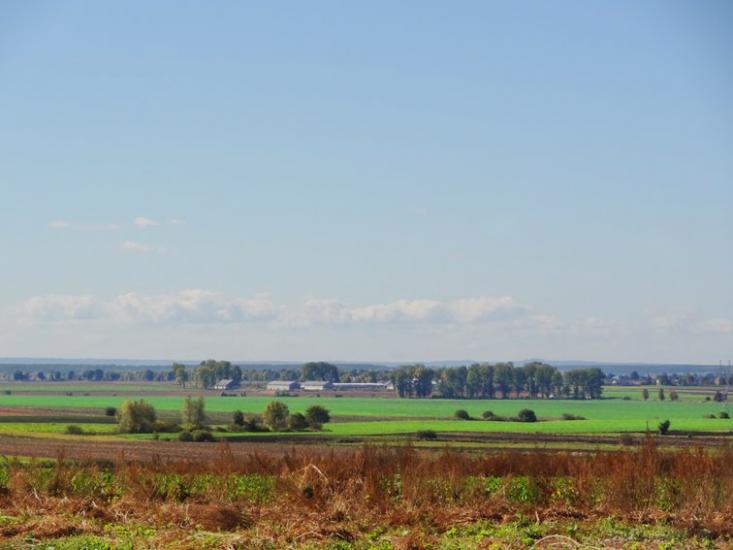 Корчів з panoramio.com - Корчев