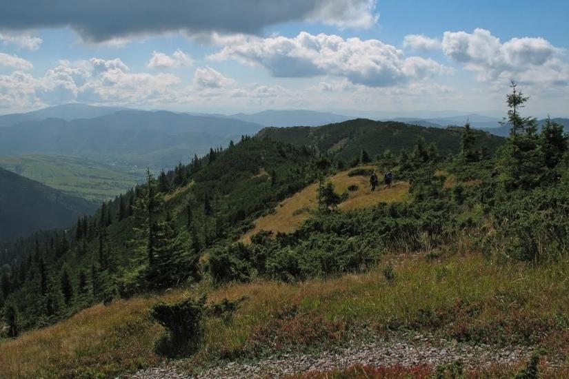 Стригальня з panoramio.com - Стригальня
