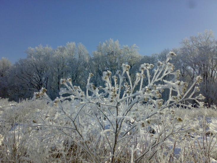 Петрівське з panoramio.com - Petrivske