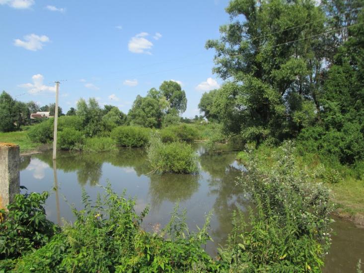 Ясенове з panoramio.com - Ясеновое