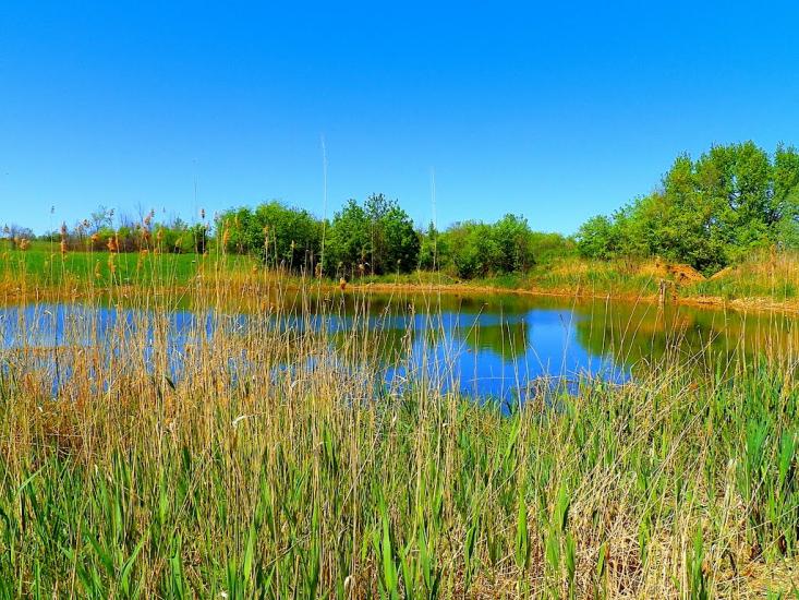 Велика Мартинівка з panoramio.com - Велика Мартинівка