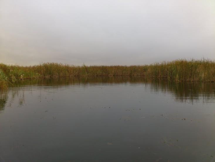 Киселівка з panoramio.com - Киселівка