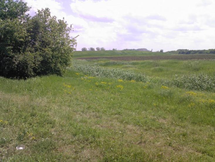 Кремінець з panoramio.com - Кременец
