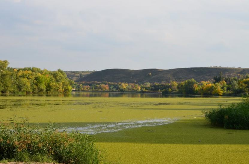 Попівка з panoramio.com - Поповка