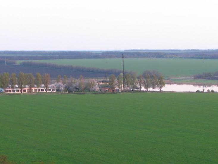 Першотравенськ з panoramio.com - Першотравенск
