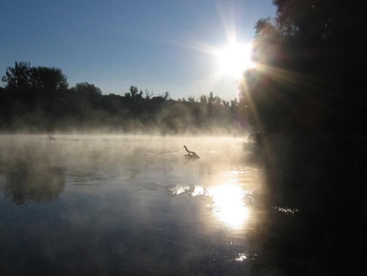 Сокільники з panoramio.com - Сокільники