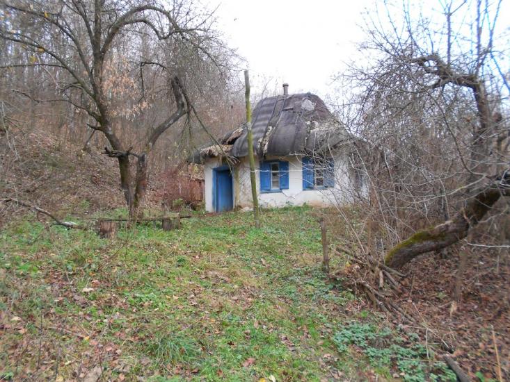 Думанці з panoramio.com - Думанцы