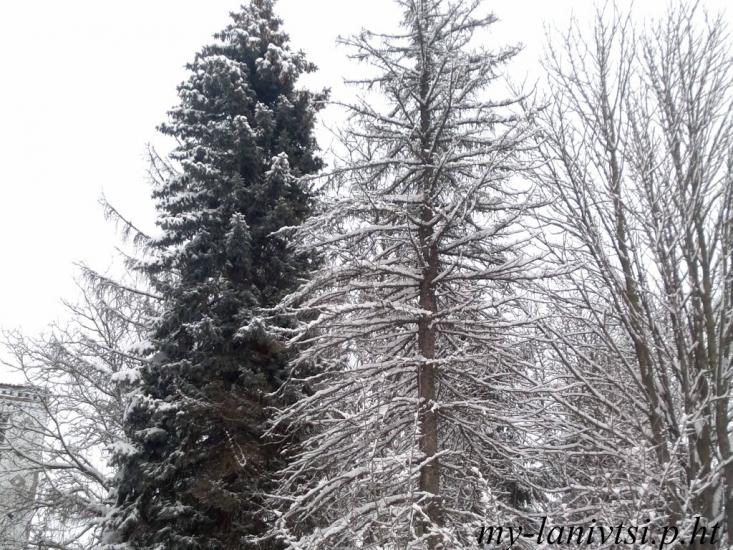 Ланівці з panoramio.com - Лановцы
