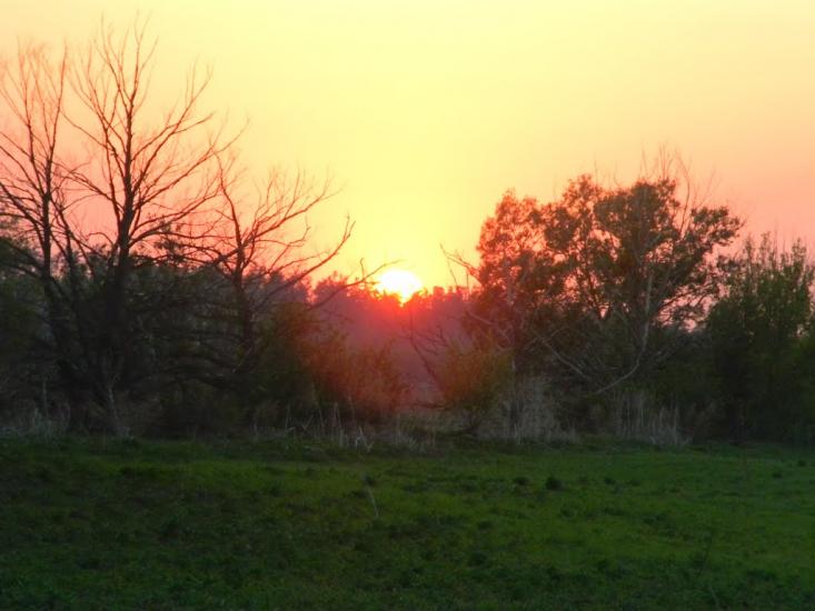 Білозір'я з panoramio.com - Белозерье